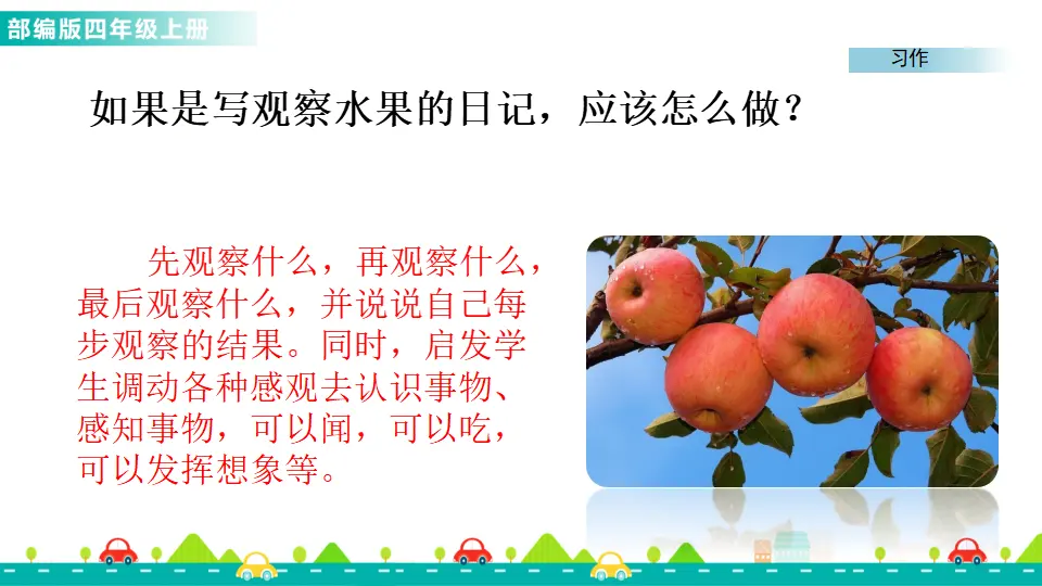 习作：写观察日记（课件1）_03.webp