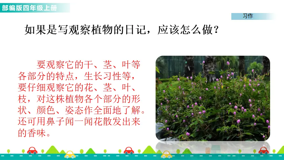习作：写观察日记（课件1）_04.webp