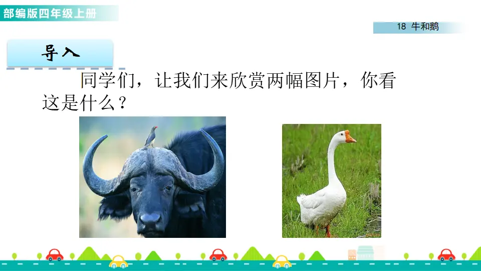 18 牛和鹅（课件1）_02.webp