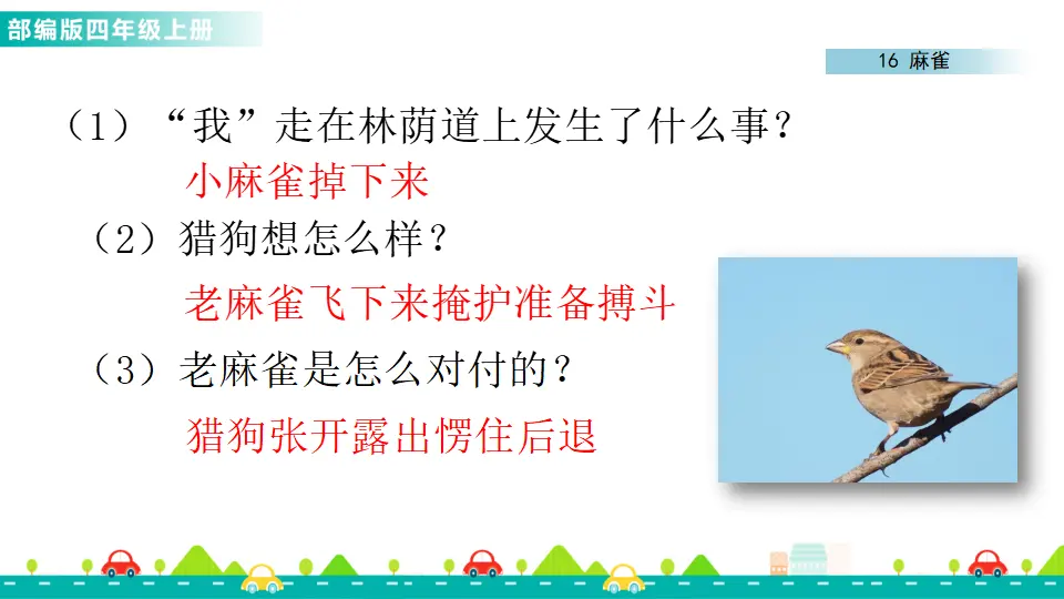 16 麻雀（课件1）_03.webp