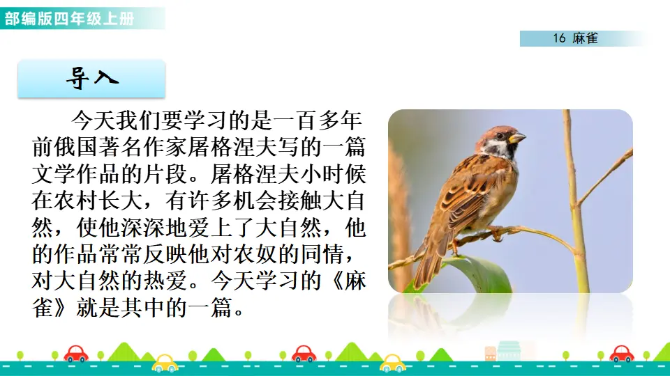 16 麻雀（课件1）_02.webp