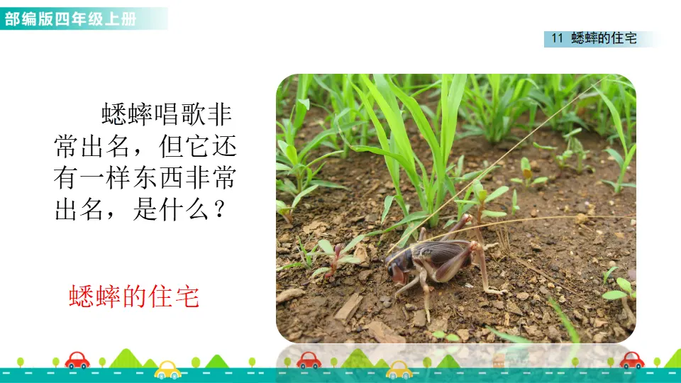 11 蟋蟀的住宅（课件1）_03.webp