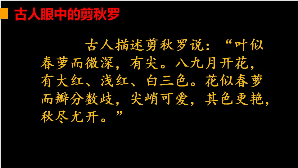 链接1：剪秋罗（课件2）_03.webp