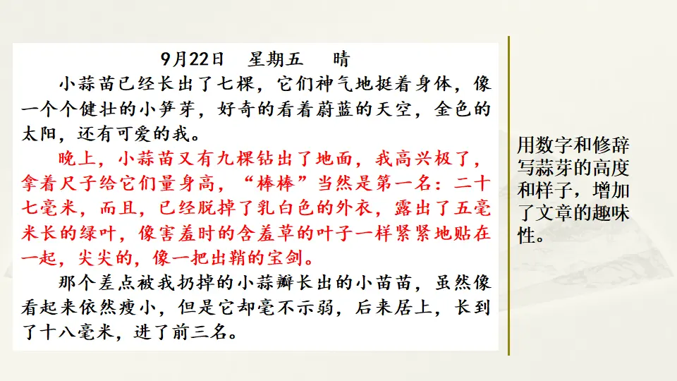 范文2：大蒜出芽观察日记（课件2）_04.webp
