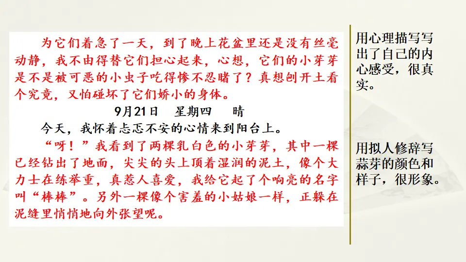 范文2：大蒜出芽观察日记（课件2）_03.webp