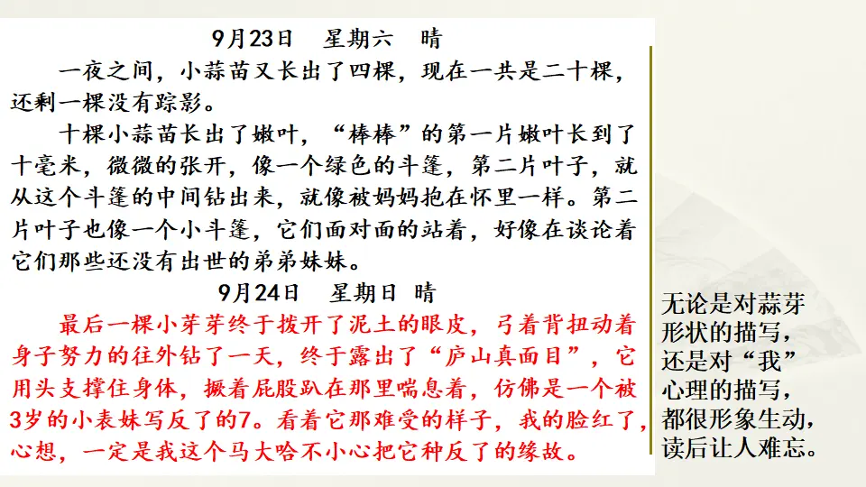 范文2：大蒜出芽观察日记（课件2）_05.webp