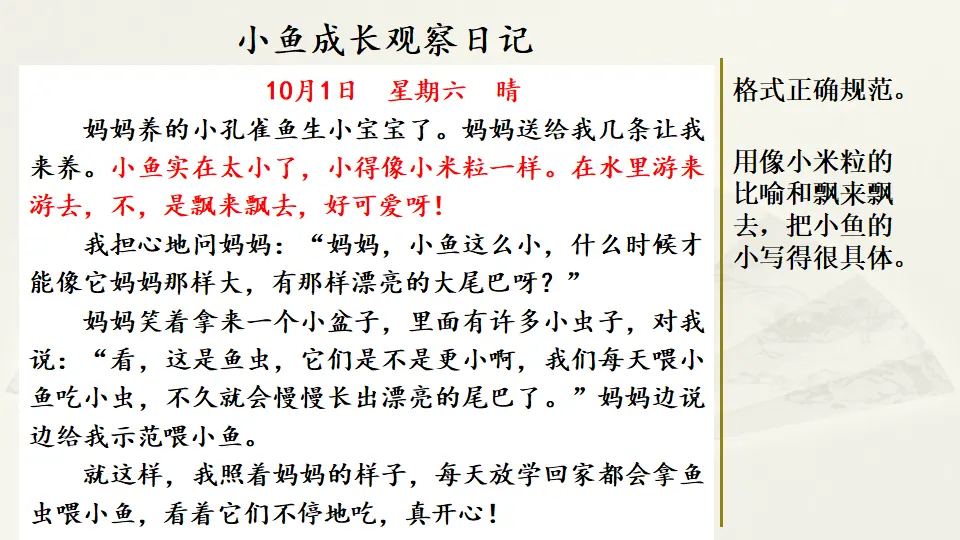 范文1：小鱼成长观察日记（课件2）_01.webp