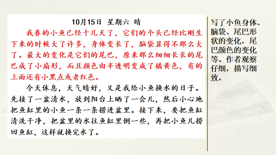 范文1：小鱼成长观察日记（课件2）_02.webp