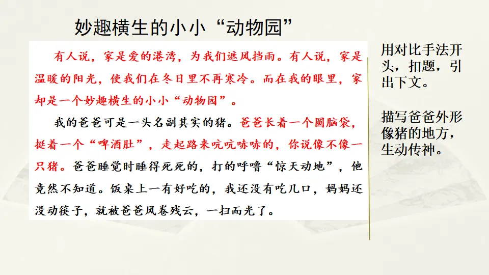 范文1：妙趣横生的小小“动物园”（课件2）_01.webp