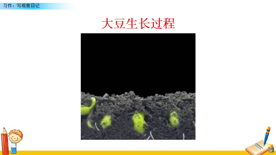 习作：写观察日记（课件2）_03.webp