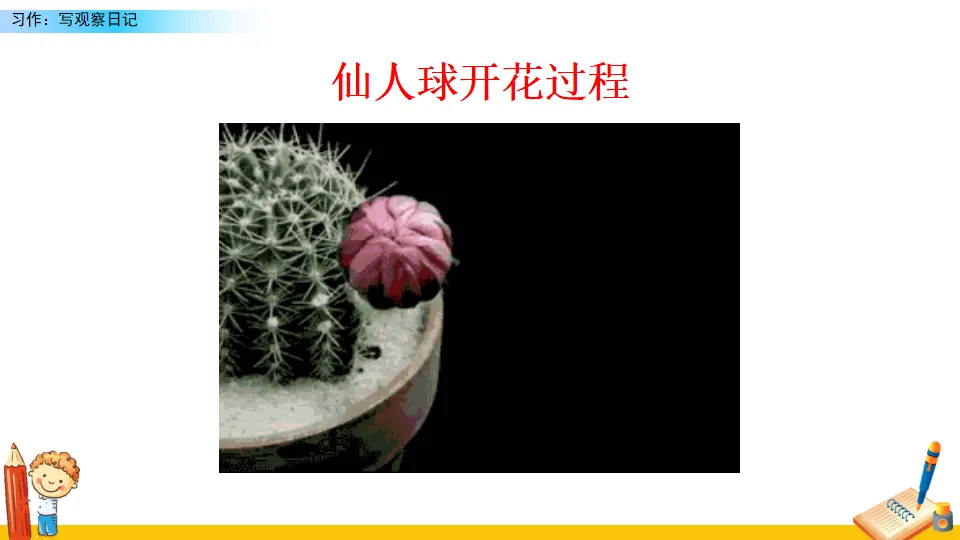 习作：写观察日记（课件2）_02.webp