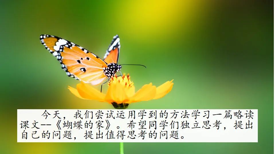 8 蝴蝶的家（课件2）_02.webp