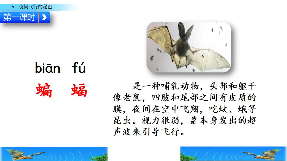 6 夜间飞行的秘密（课件2）_02.webp
