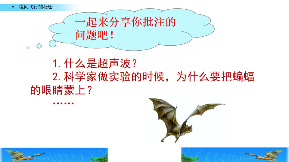 6 夜间飞行的秘密（课件2）_05.webp