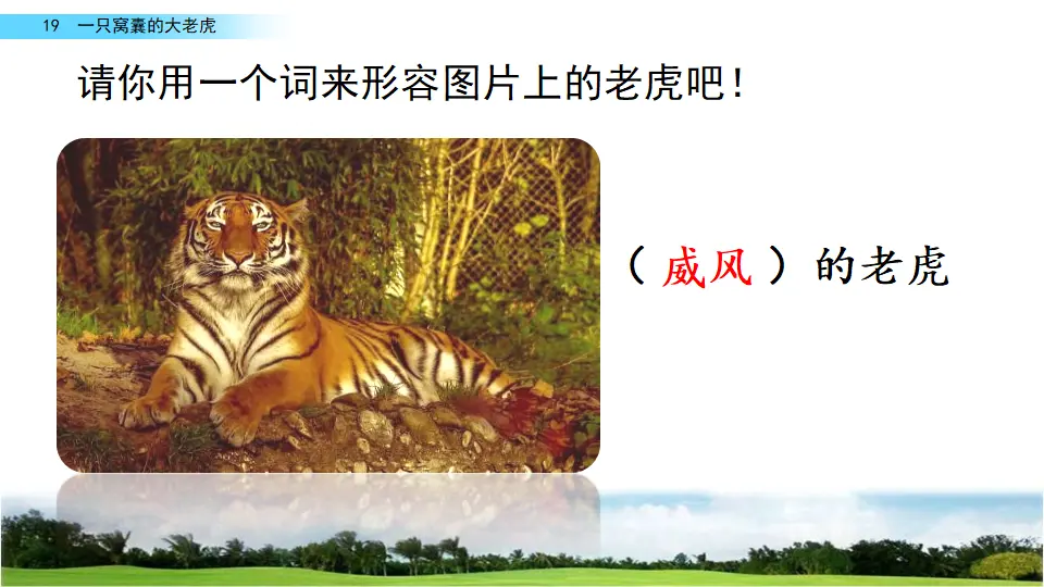 19 一只窝囊的大老虎（课件2）_01.webp