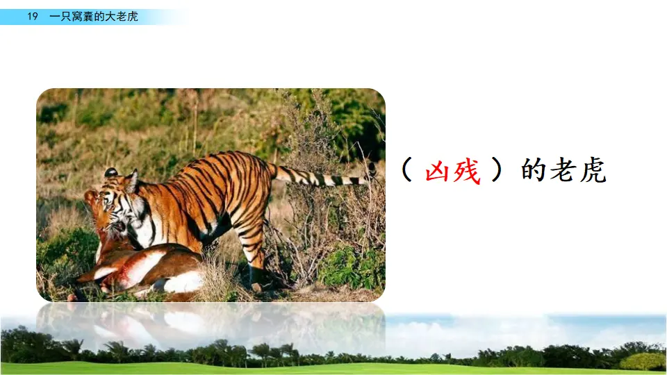 19 一只窝囊的大老虎（课件2）_02.webp