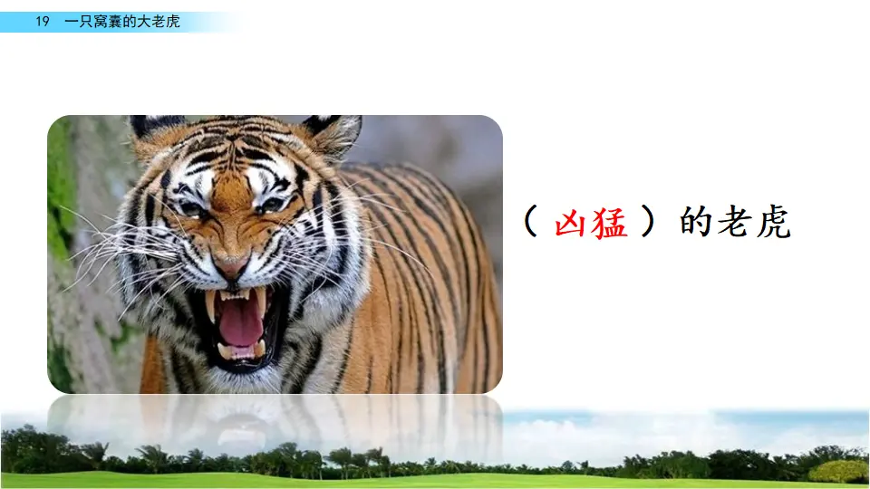 19 一只窝囊的大老虎（课件2）_03.webp