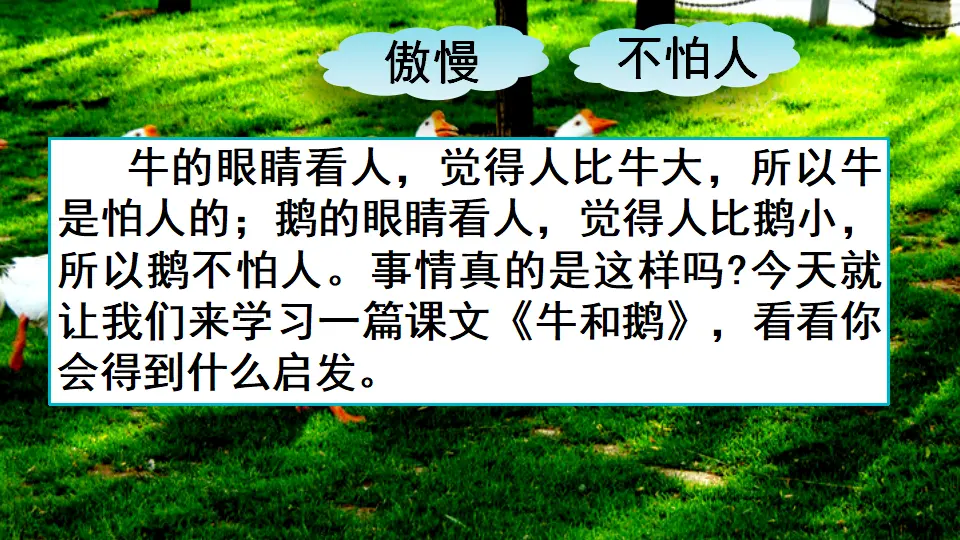 18 牛和鹅（课件2）_01.webp