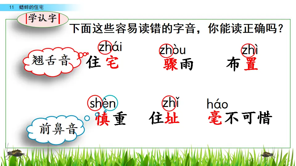 11 蟋蟀的住宅（课件2）_05.webp