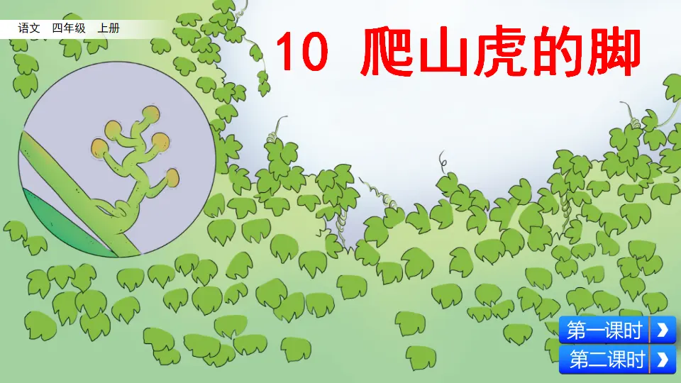 10 爬山虎的脚（课件2）_03.webp