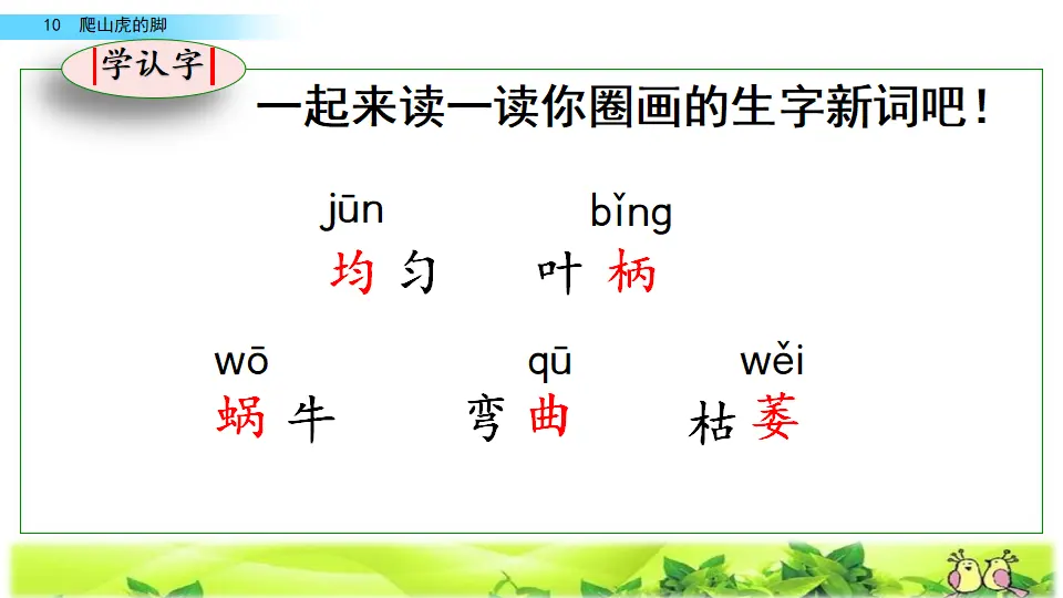 10 爬山虎的脚（课件2）_05.webp