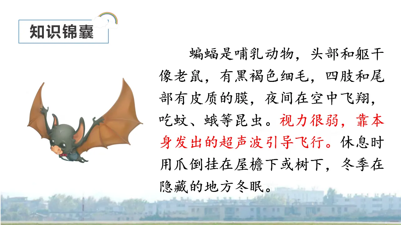 6.夜间飞行的秘密（课件3）_03.webp