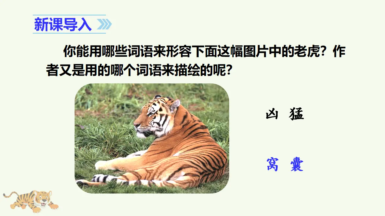 19 一只窝囊的大老虎（课件3）_01.webp