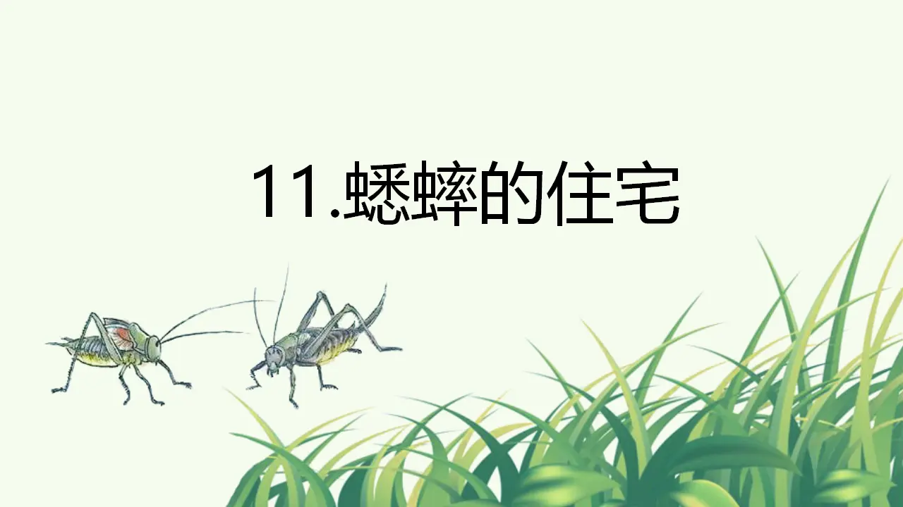 11.蟋蟀的住宅（课件3）_02.webp