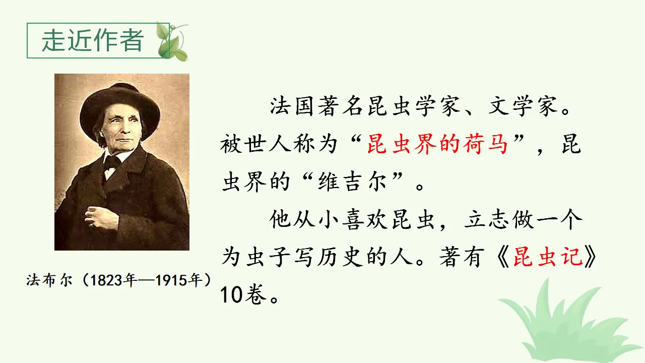 11.蟋蟀的住宅（课件3）_03.webp
