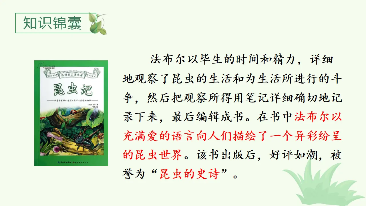 11.蟋蟀的住宅（课件3）_04.webp