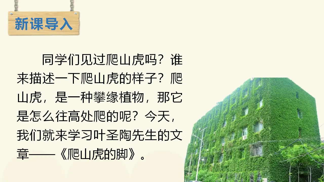 10.爬山虎的脚（课件3）_01.webp