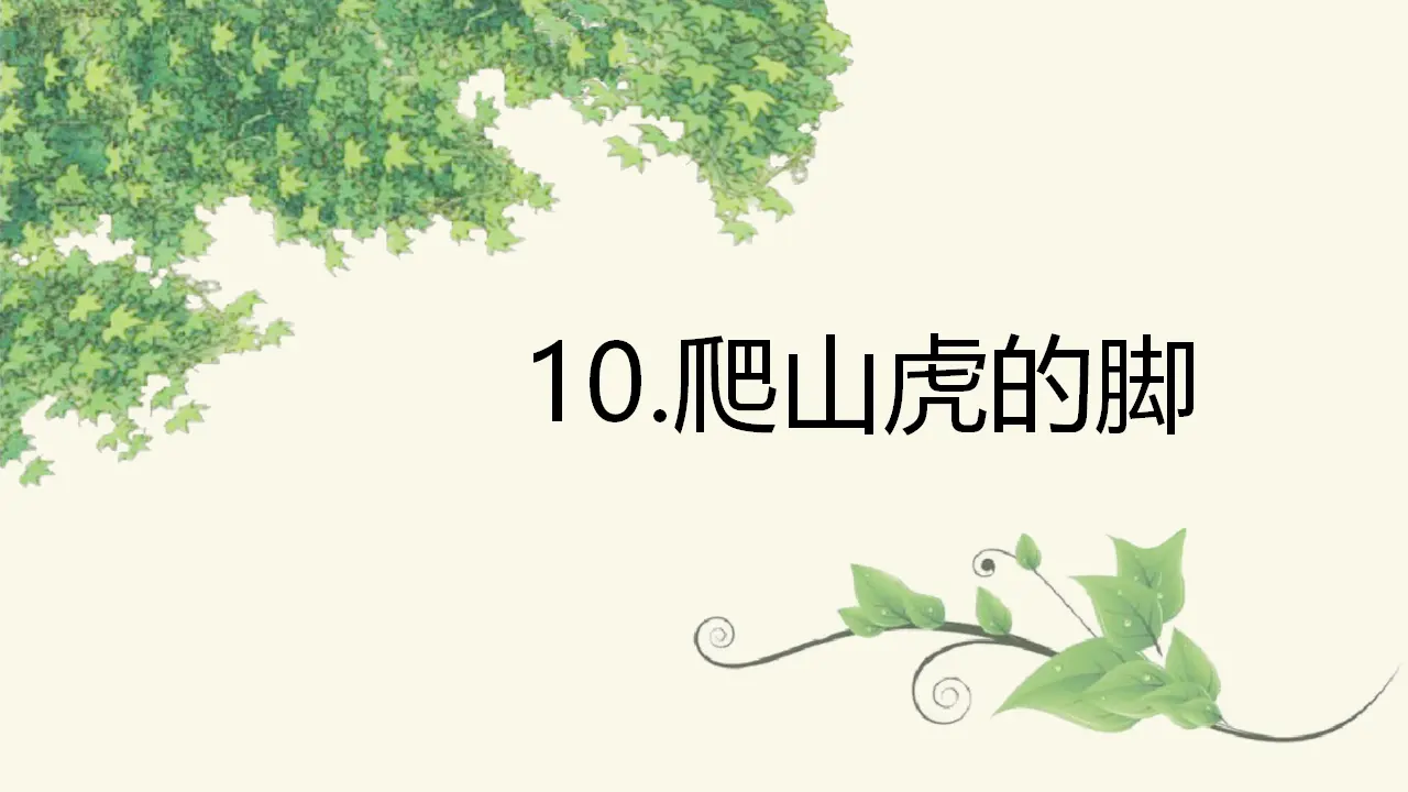 10.爬山虎的脚（课件3）_02.webp