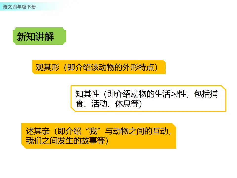 习作：我的动物朋友（课件1）_04.webp