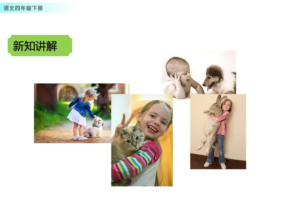 习作：我的动物朋友（课件1）_05.webp