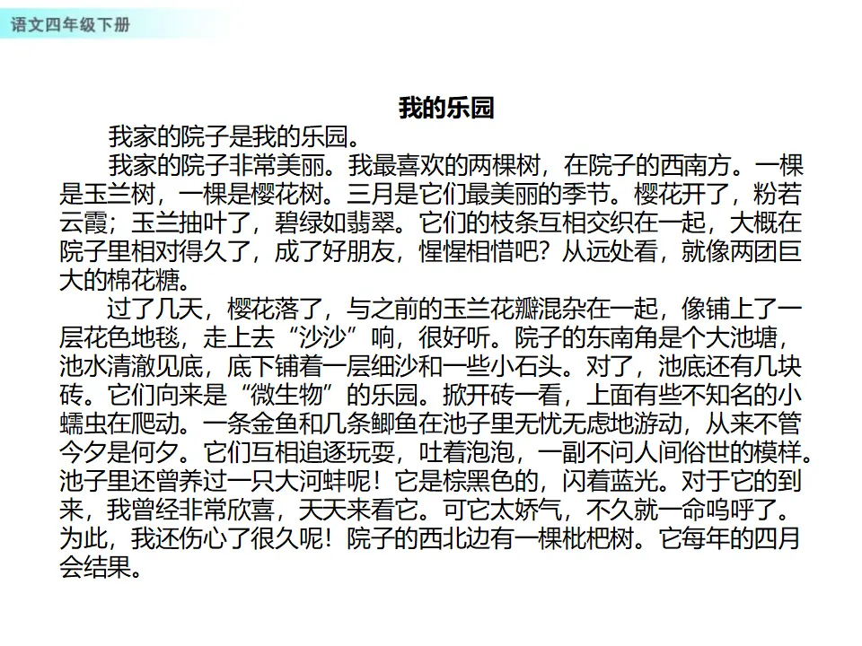 习作：我的乐园（课件1）_04.webp