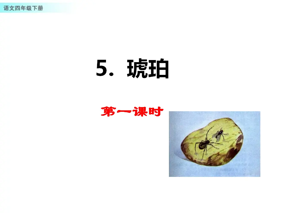 5 琥珀（课件1）_01.webp