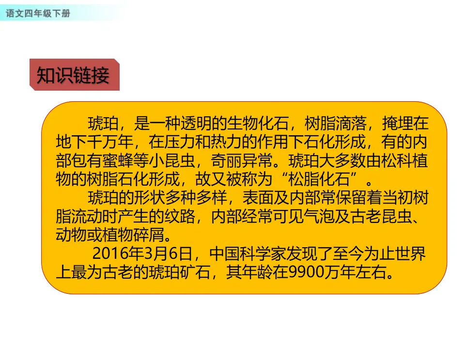5 琥珀（课件1）_04.webp