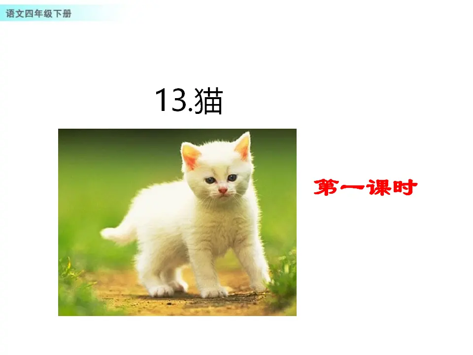 13 猫（课件1）_01.webp