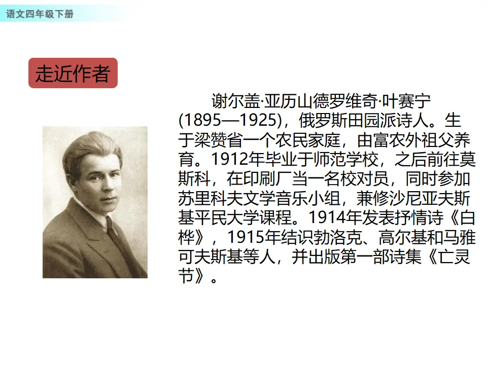 11 白桦（课件1）_04.webp