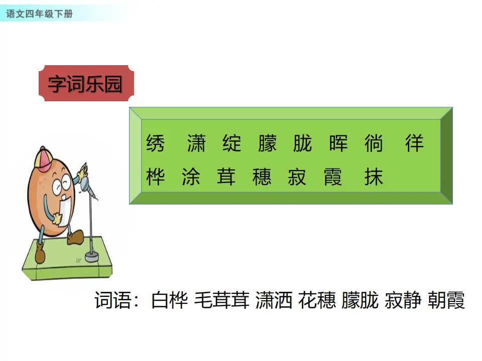 11 白桦（课件1）_05.webp
