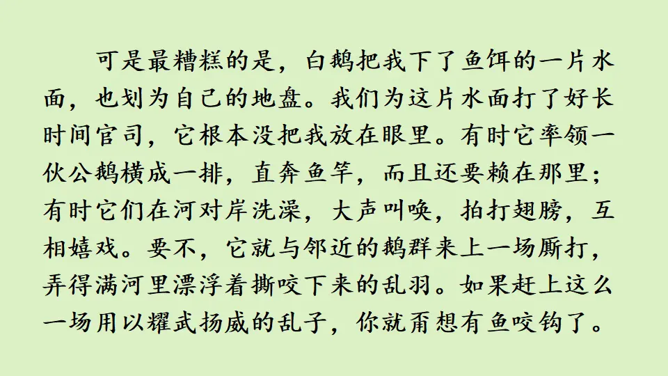 链接1：白公鹅（课件2）_04.webp