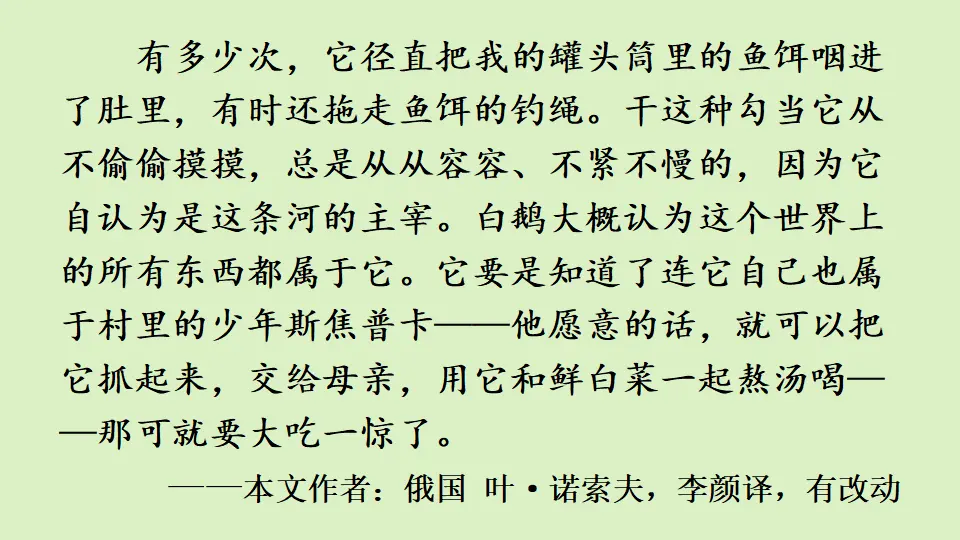 链接1：白公鹅（课件2）_05.webp