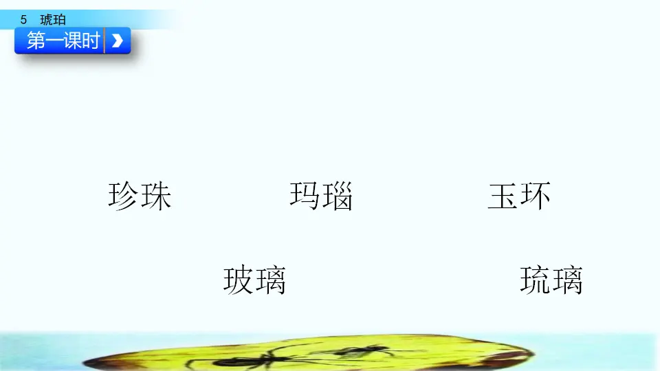 5 琥珀（课件2）_02.webp