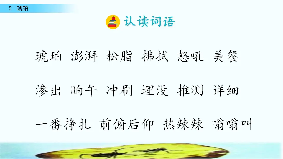 5 琥珀（课件2）_05.webp