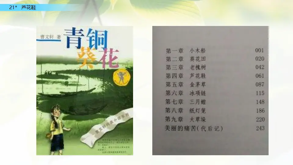 21 芦花鞋（课件2）_03.webp