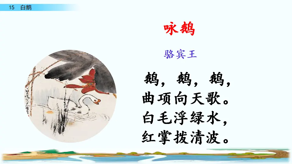15 白鹅（课件2）_01.webp