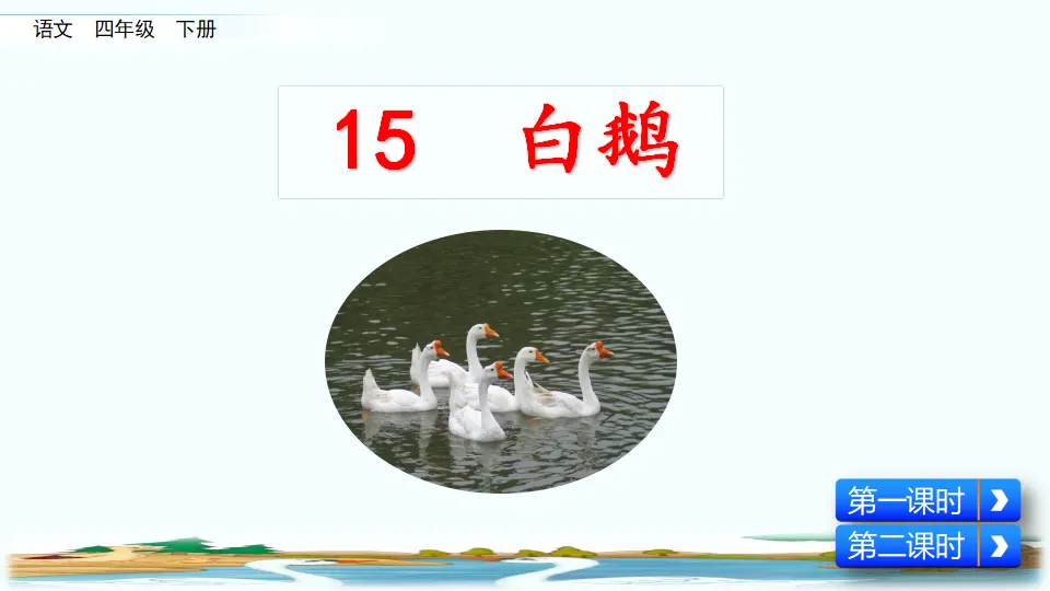 15 白鹅（课件2）_02.webp