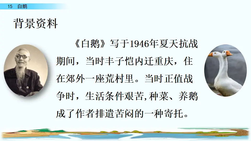 15 白鹅（课件2）_04.webp