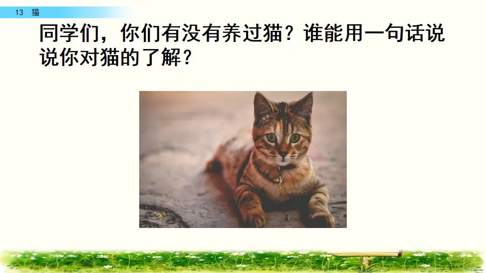 13 猫（课件2）_01.webp