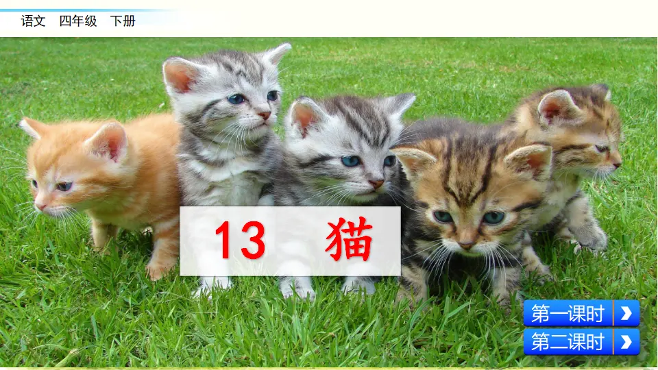 13 猫（课件2）_02.webp